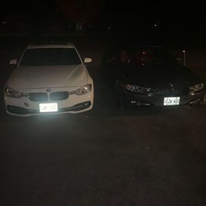 Meet your Posher, Riley